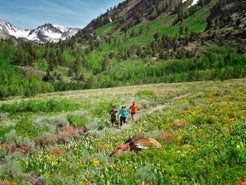 How to be an Eco-Friendly Runner