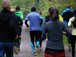 Marathon Survival Guide