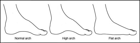 Learning Center: Foot Analysis