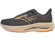 Mizuno Wave Rider 29 Men's Shoes Quiet Shade/Sand