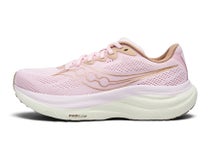 Saucony Ride 19 Women's Shoes Silk/Quartz