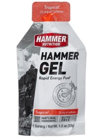 Hammer Gel Individual Sachet