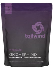 Tailwind Recovery Mix Drink 15-Serving